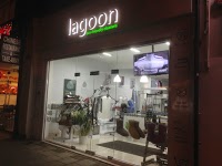 lagoon eco friendly Dry cleaners 1059402 Image 5